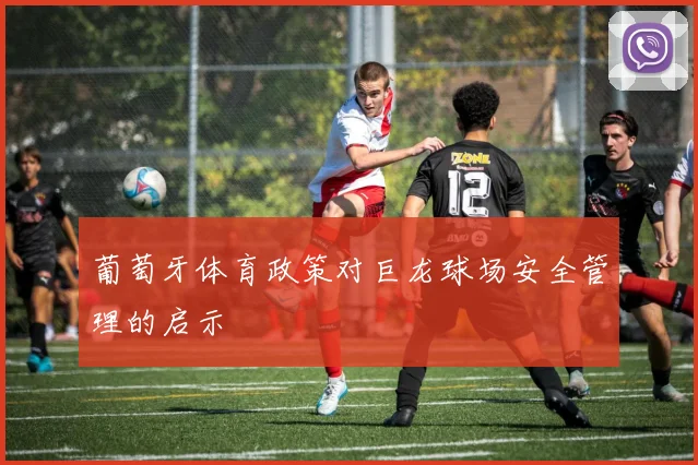 葡萄牙体育政策对巨龙球场安全管理的启示
