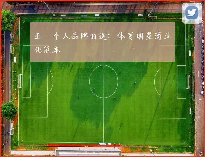 王濛个人品牌打造：体育明星商业化范本