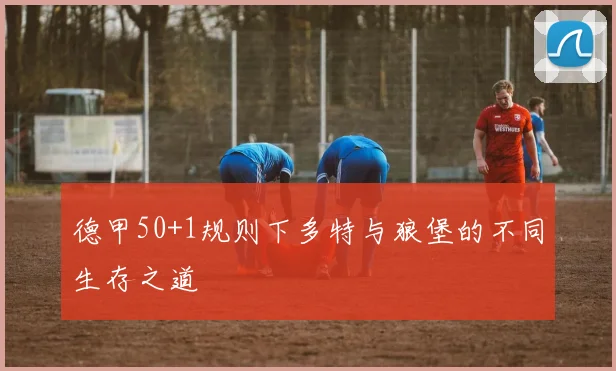 德甲50+1规则下多特与狼堡的不同生存之道